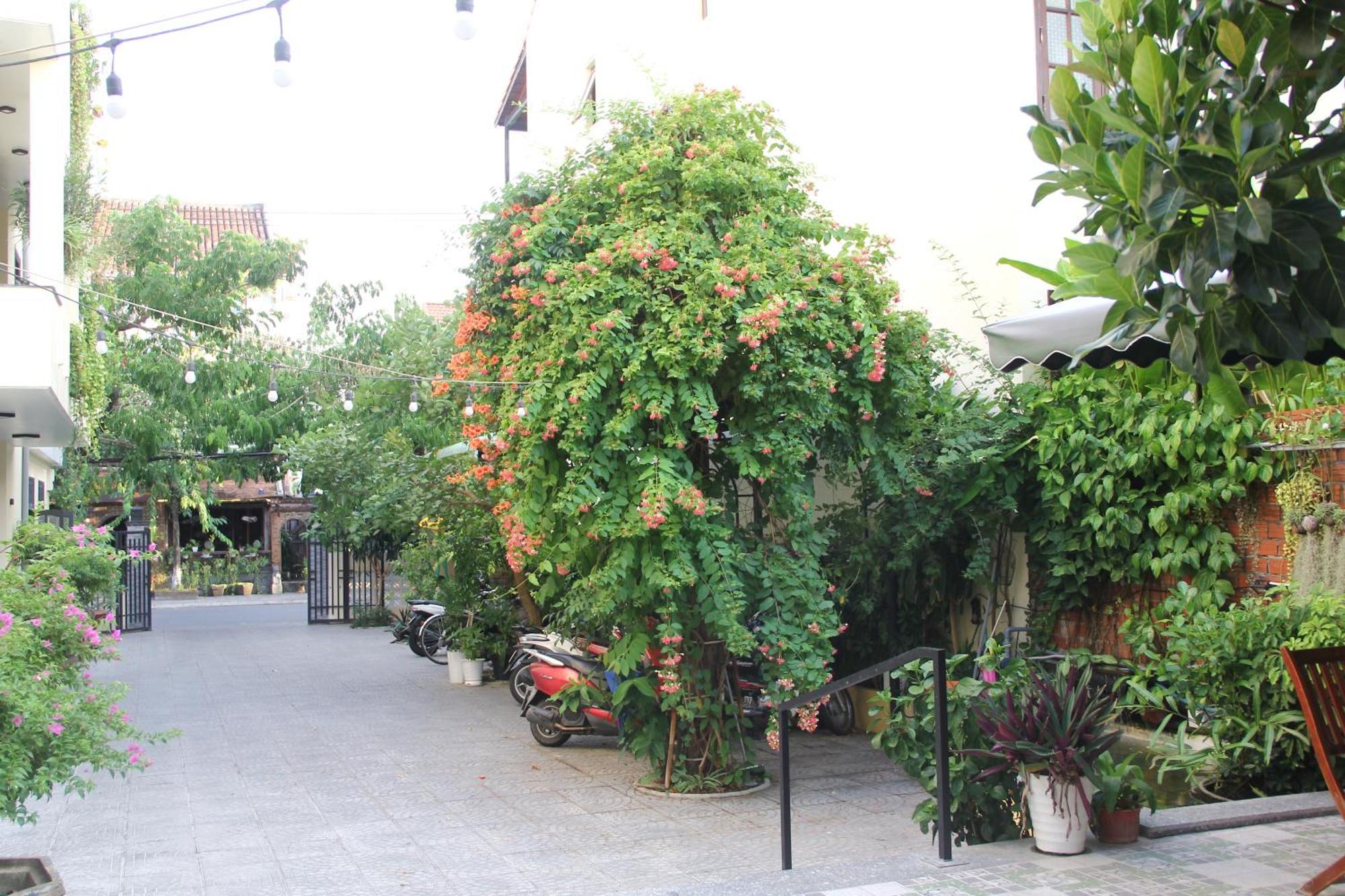 Windbell Villa Hoi An Exteriér fotografie